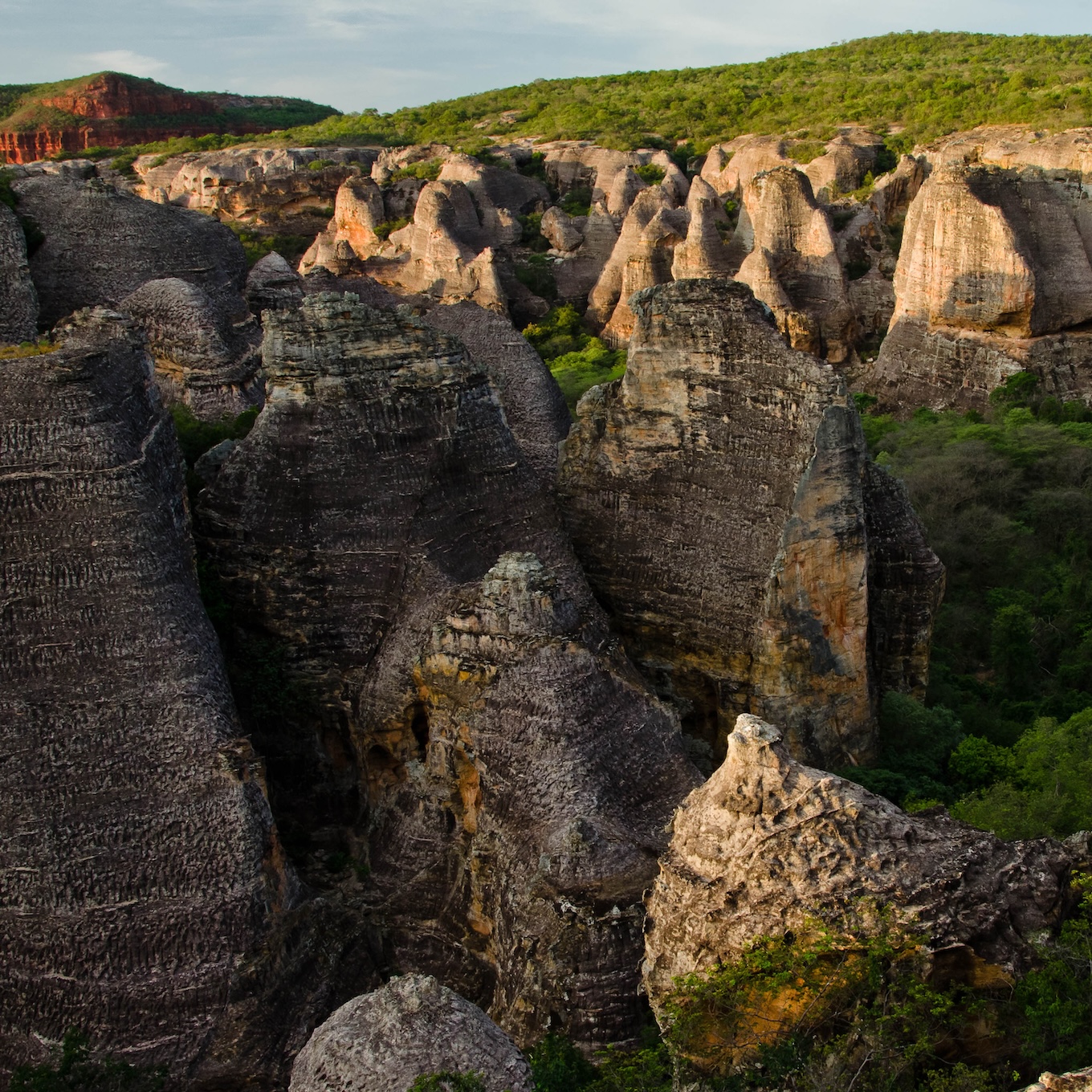 Serra da Capivara, Brazil
