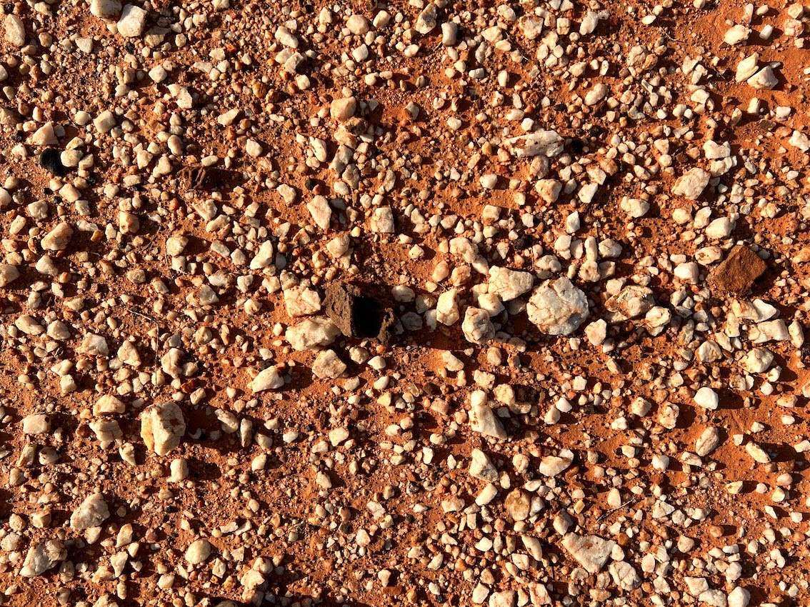 Desert pavement, Boolcoomatta, SA