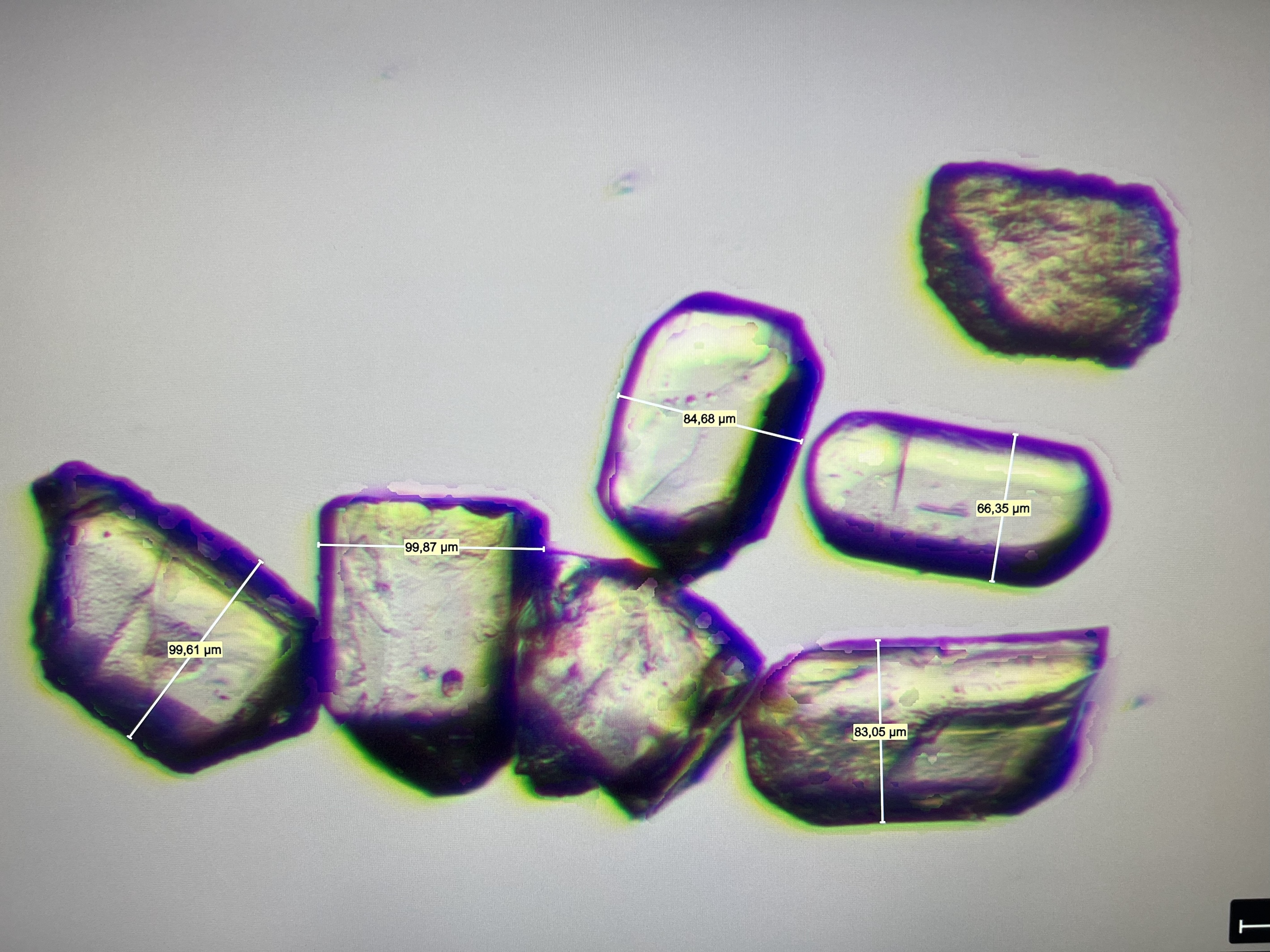 Picked apatite grains