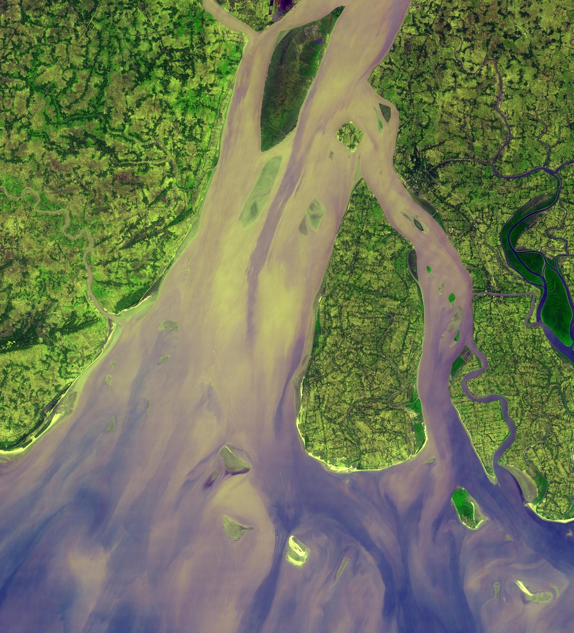 River delta from space