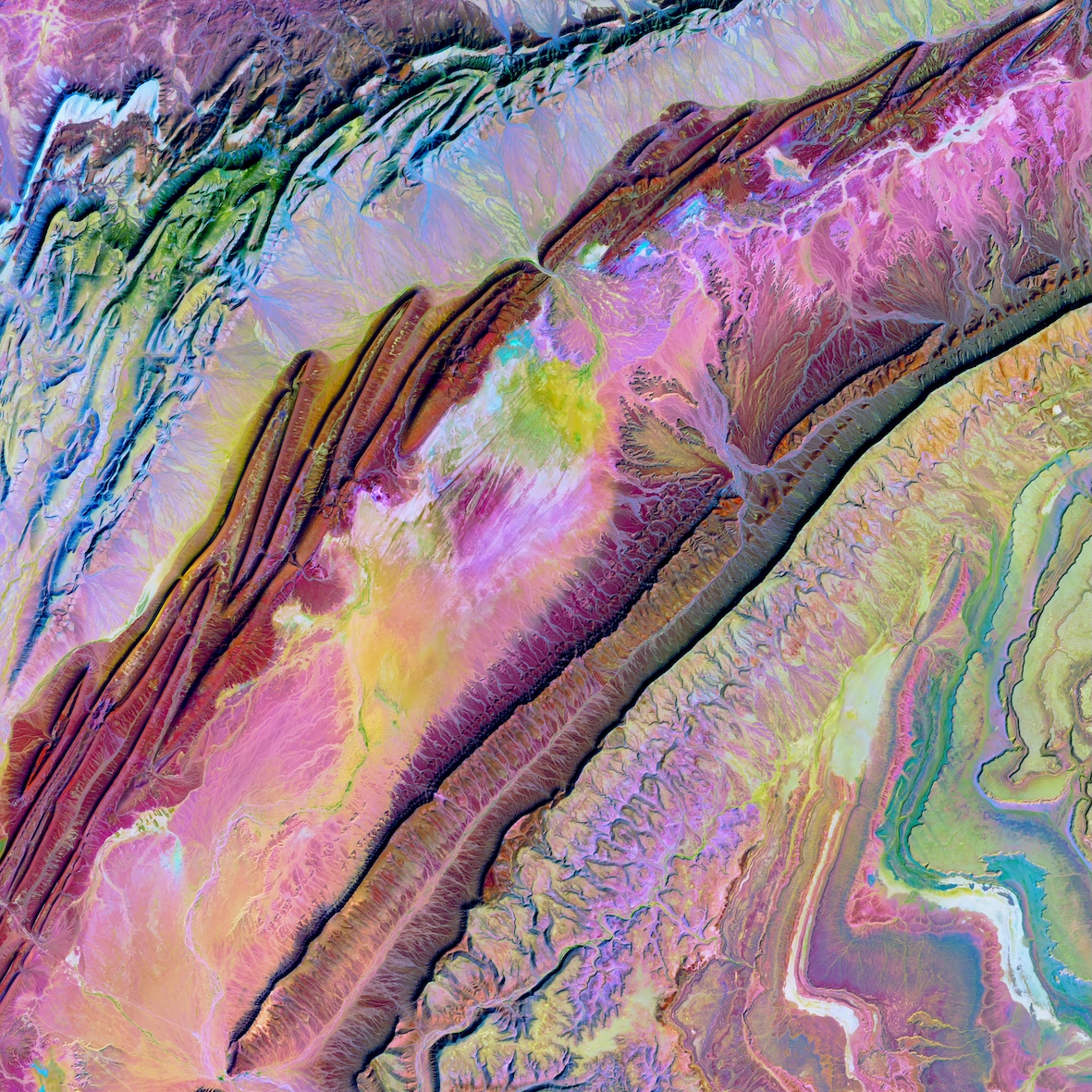 River delta from space