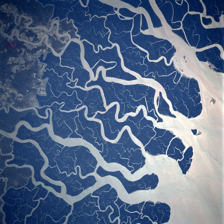 River delta from space